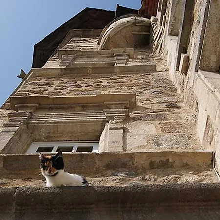 Maison au Loup - Superbe ancien hotel particulier du XVIe siècle au cœur de la vieille ville du Puy-2